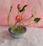 Poppenhuis plantje, Ophalen of Verzenden, Poppenhuis