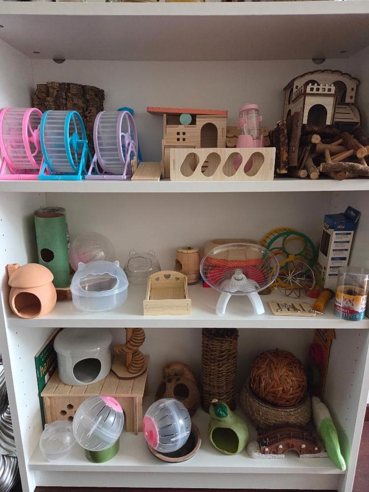 Huis vol toebehoren voor hamsters ook voor hamsterscaping, Dieren en Toebehoren, Knaagdieren en Konijnen | Toebehoren, Ophalen of Verzenden