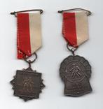 2 Medailles uit Arnhem "Samen is Alles", Ophalen of Verzenden, Overige materialen, Nederland