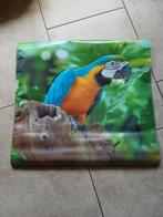 Wanddeco voor buiten of binnen met Ara- afbeelding., Tuin en Terras, Ophalen of Verzenden, Nieuw