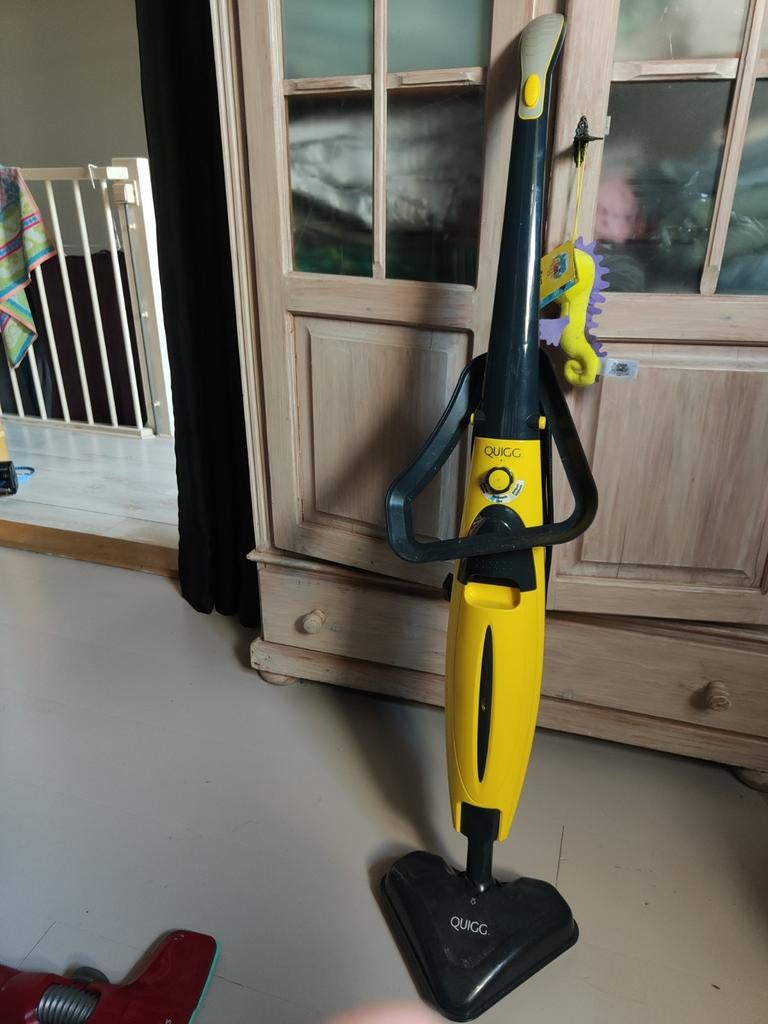Stoom cleaner, Ophalen