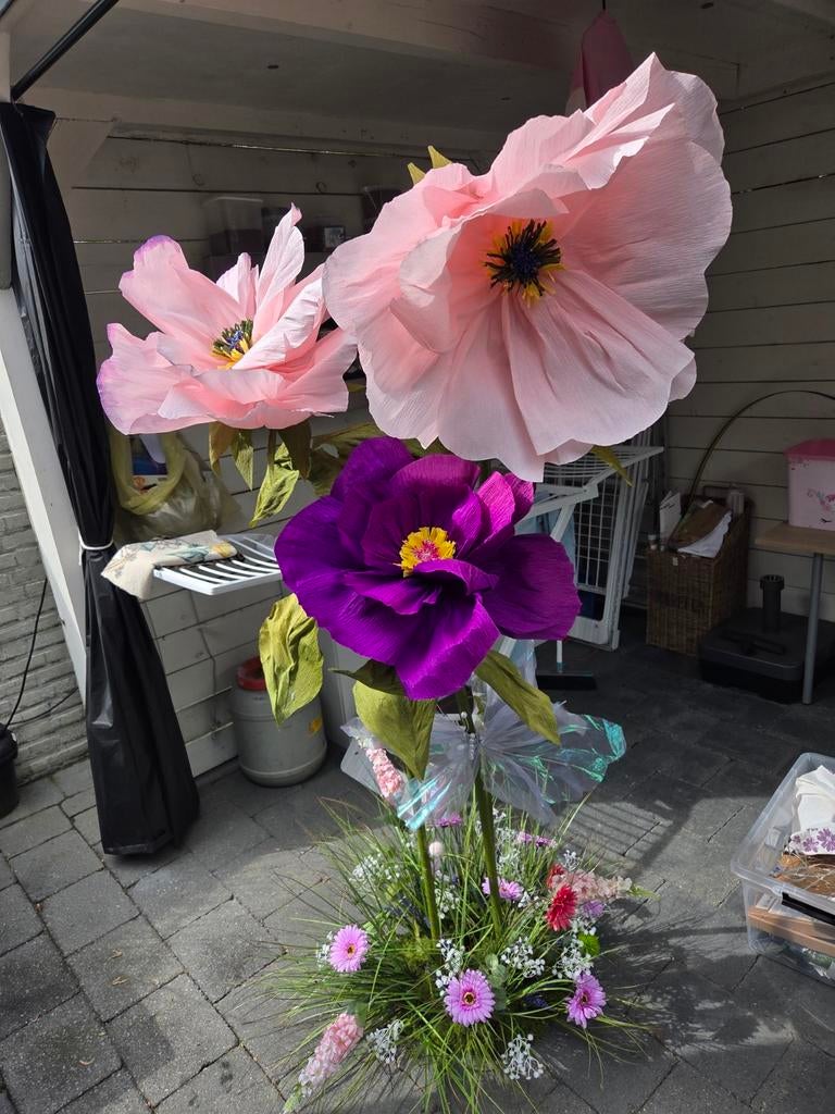 Decoratie bloemen, Ophalen, Volle zon