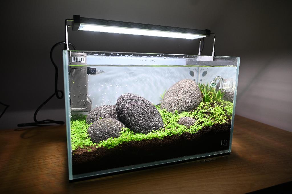 UNS 3N Iwagumi Aquascape – Complete Strakke Nano Scape, Dieren en Toebehoren, Ophalen, App-bediening, Chihiros, Gevuld zoetwateraquarium