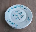 Vintage Arcopal dinerborden, Veronica/vergeetmenietjes, 24cm, Huis en Inrichting, Gebruikt, Ophalen of Verzenden, Glas, Bord(en)