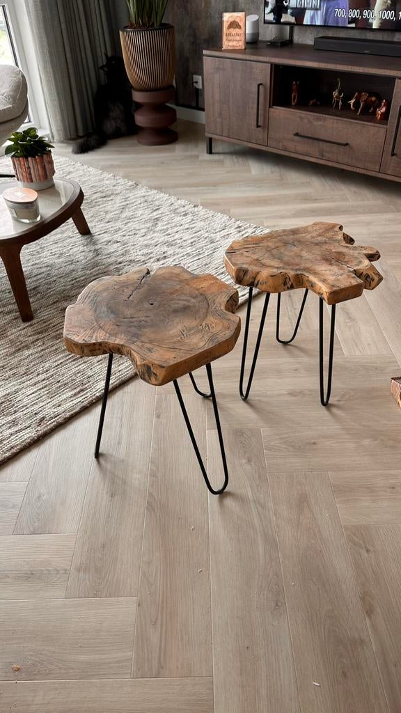 Bijzettafels, Huis en Inrichting, Tafels | Salontafels, Ophalen, Minder dan 50 cm, Gebruikt, 50 tot 100 cm