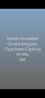 Heren gratis haar knippen Amsterdam, 33 - 40 uur, Overige niveaus, Starter, Overige vormen