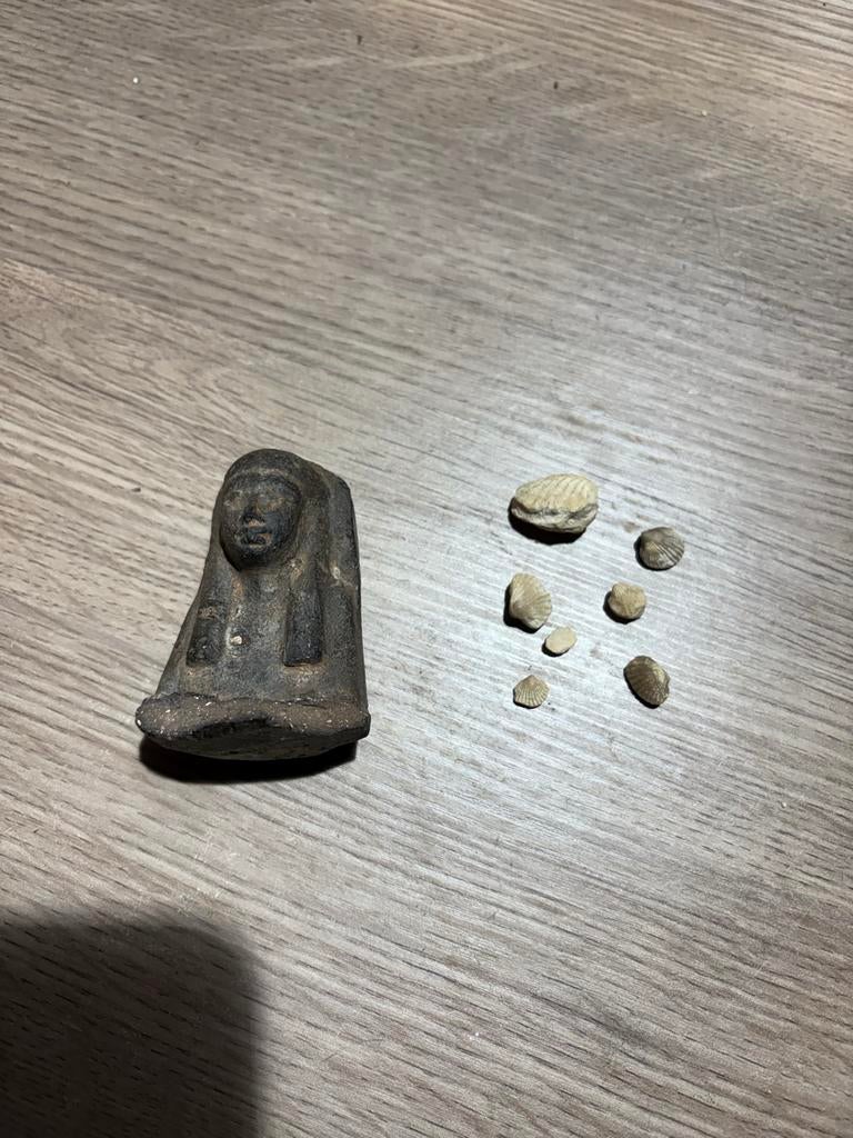 Oud Egyptisch beeldje en fossiele schelpen, Ophalen of Verzenden, Overige typen