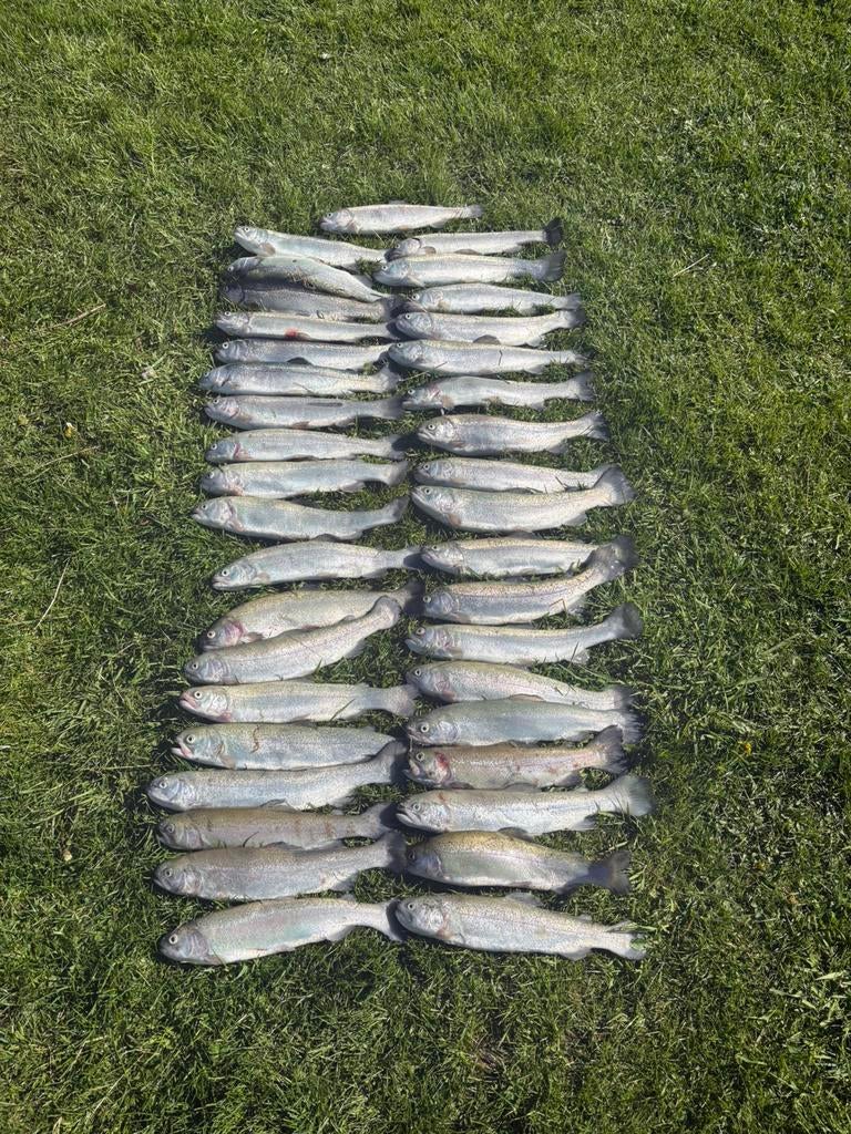 forel met ingewant, Watersport en Boten, Ophalen of Verzenden, Zo goed als nieuw, Overige typen