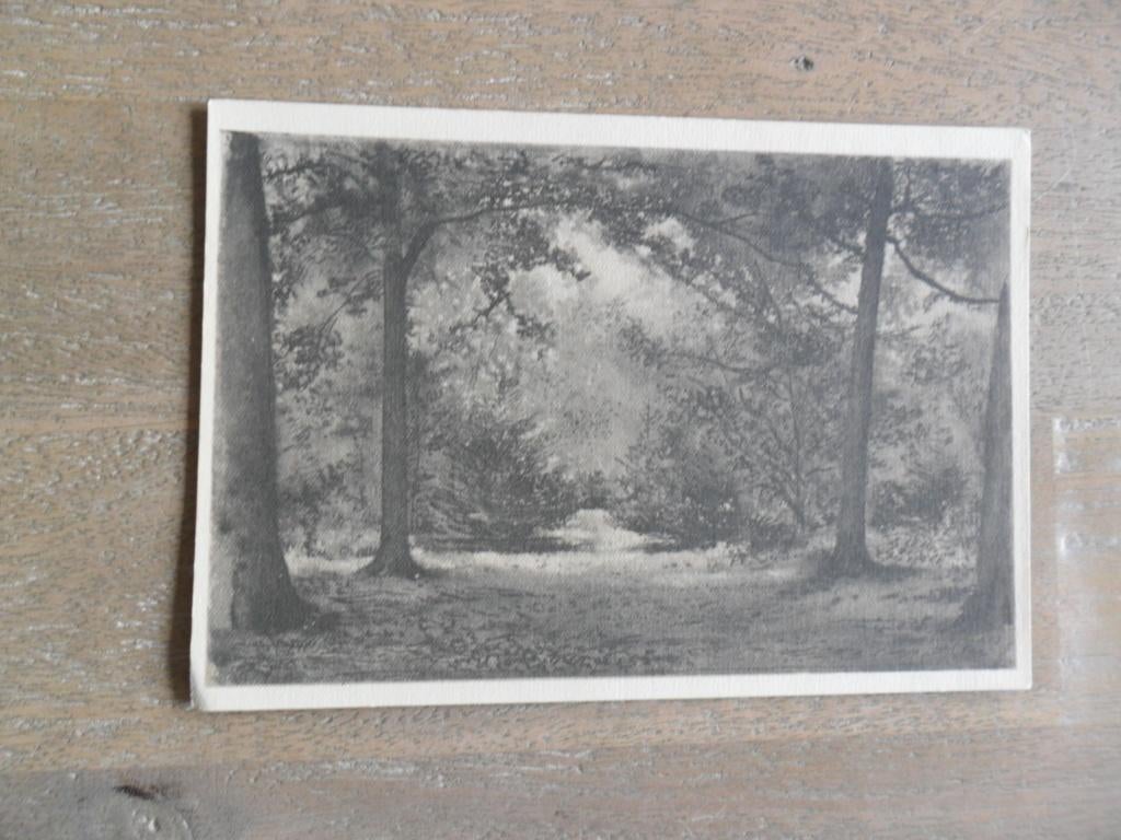 bosgezicht, Paul Citroen  / kunst, Verzenden, 1980 tot heden, Ongelopen, Zuid-Holland