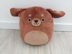 Knuffel squishmallows flaxy the dog teckel L1478, Ophalen of Verzenden, Zo goed als nieuw, Overige typen