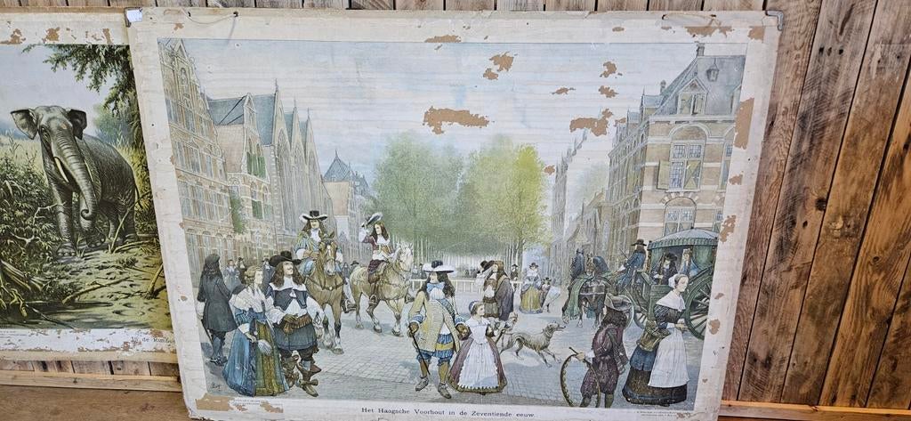 2 Oude Schoolplaten: Olifant & Haagsche Voorhout 17e eeuw, Ophalen, Natuur en Biologie