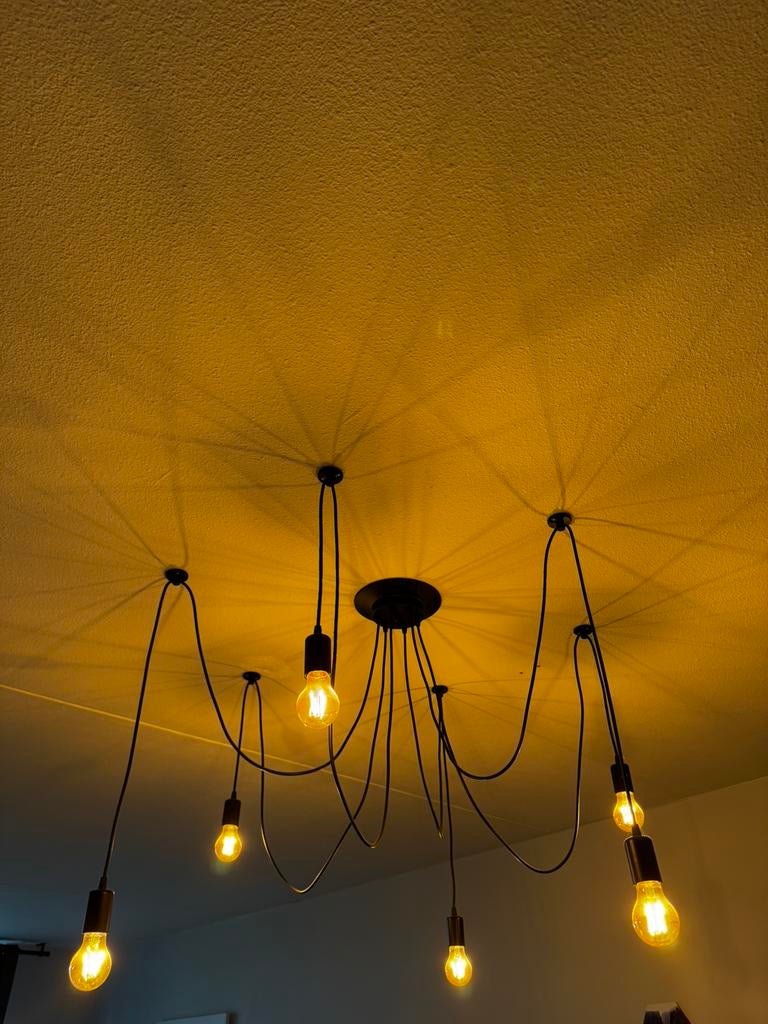 Plafondlamp industrieel (multi-arm), Ophalen, Zo goed als nieuw