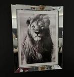 XXL Eric Kuster spiegellijst met leeuwenfoto 90x70 cm, Ophalen, Zo goed als nieuw