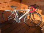 CANNONDALE Synapse racefiets, Overige materialen, Gebruikt, Heren, 49 tot 53 cm