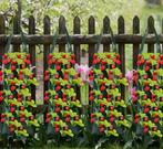 aardbeien-plantenzakken

of bloom plantenzakken, Ophalen of Verzenden, Volle zon