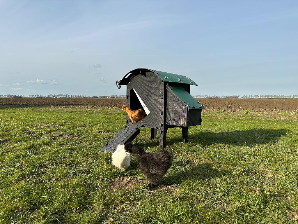 Kunststof Kippenhok – Nestera Small Op Pootjes, Ophalen of Verzenden, Nieuw, Kippenhok of Kippenren