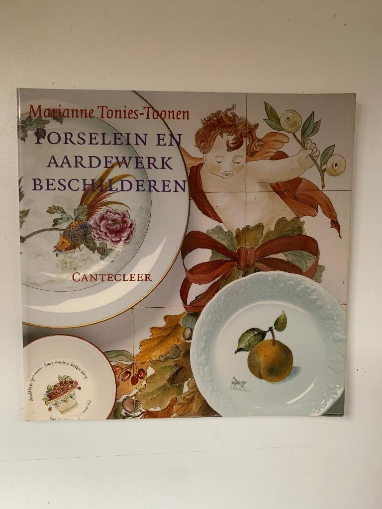 Porselein en aardewerk beschilderen Marianne Tonies-Toonen, Ophalen of Verzenden, Gelezen, Overige onderwerpen