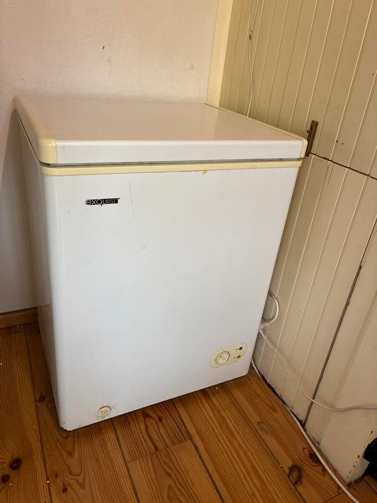 Exquisit vrieskist, Vrieskist, Gebruikt, Minder dan 60 cm, Vrijstaand