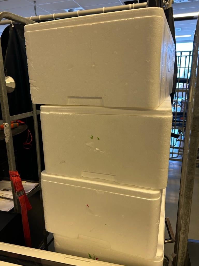 GRATIS 4  piepschuim dozen met deksel, Doe-het-zelf en Verbouw, Kratten en Dozen, Ophalen, 40 tot 60 cm, 50 tot 75 cm, Minder dan 35 cm