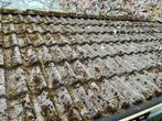 Dakpannen  (incl. mos), Ophalen, Gebruikt, Steen of Klei, 15 m² of meer