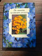 De Mooiste Kamerplanten - Boek over kamerplanten, Boeken, Ophalen of Verzenden, Zo goed als nieuw, Onbekend, Kamerplanten