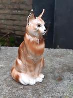 Uniek porselein Maine Coon kat beeld nieuwstaat, Ophalen of Verzenden, Zo goed als nieuw, Dier
