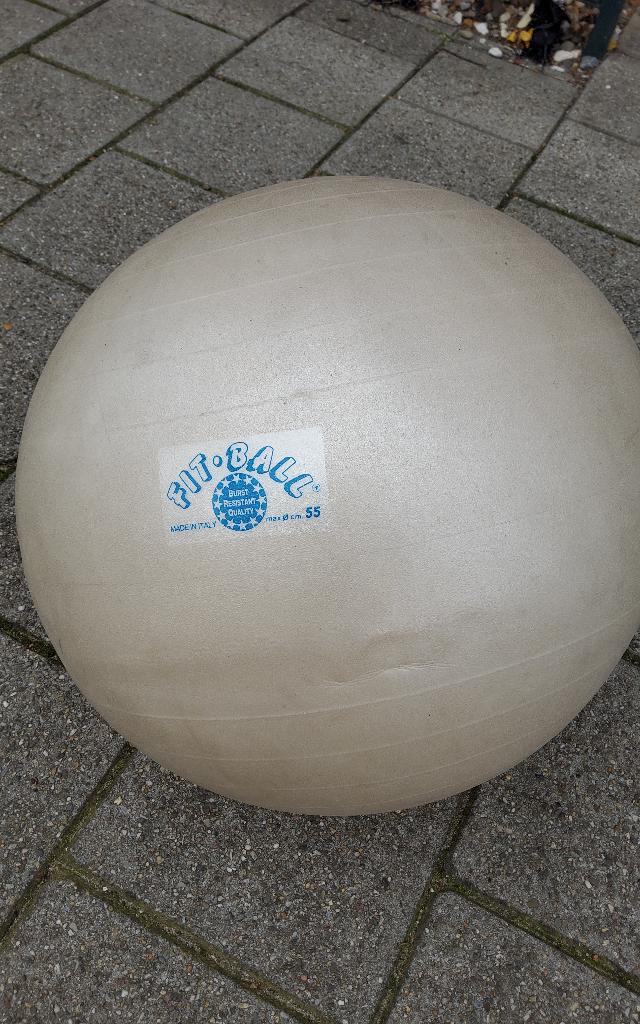 Fitnessbal 55 cm, Verzenden, Zo goed als nieuw, Rug, Fitnessbal