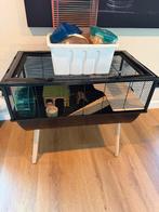 Hamster verblijf / hok, Gebruikt, Minder dan 75 cm, Ophalen, Minder dan 60 cm