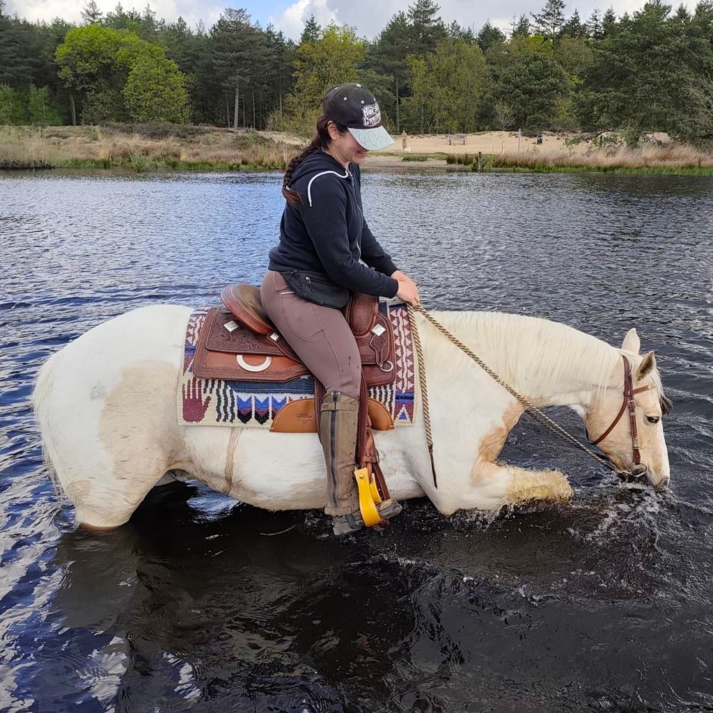 Recreatieve pensionstal, Sweet Horizon, in Eindhoven