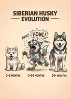 Plaatje, Ophalen of Verzenden, Plaatje