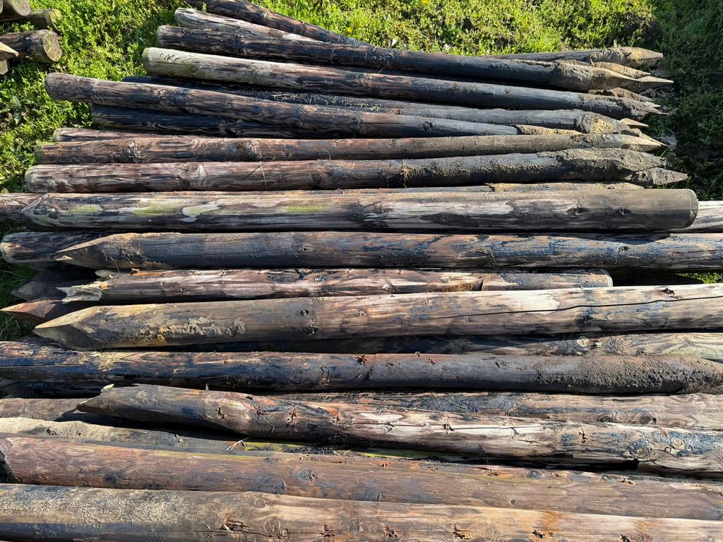 Gecreosoteerde heiningpalen weidepalen 200cm 9cm, Tuin en Terras, Palen, Balken en Planken, Ophalen, Zo goed als nieuw, Palen