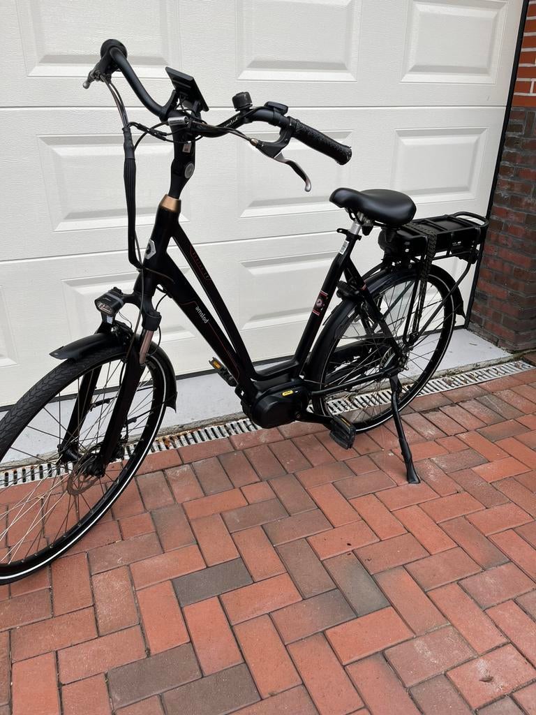 Amslod avanti lv, 51 tot 55 cm, Ophalen of Verzenden, Zo goed als nieuw, Overige merken