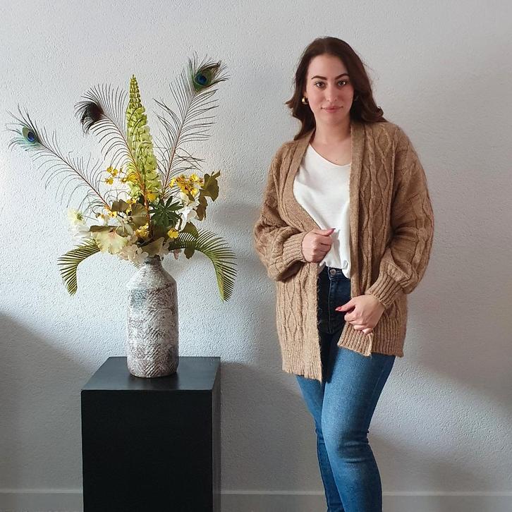 Mohair Vest Camel, Kleding | Dames, Truien en Vesten, Nieuw, Maat 38/40 (M), Bruin, Verzenden