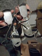 schaatsen, Ophalen of Verzenden, Noren