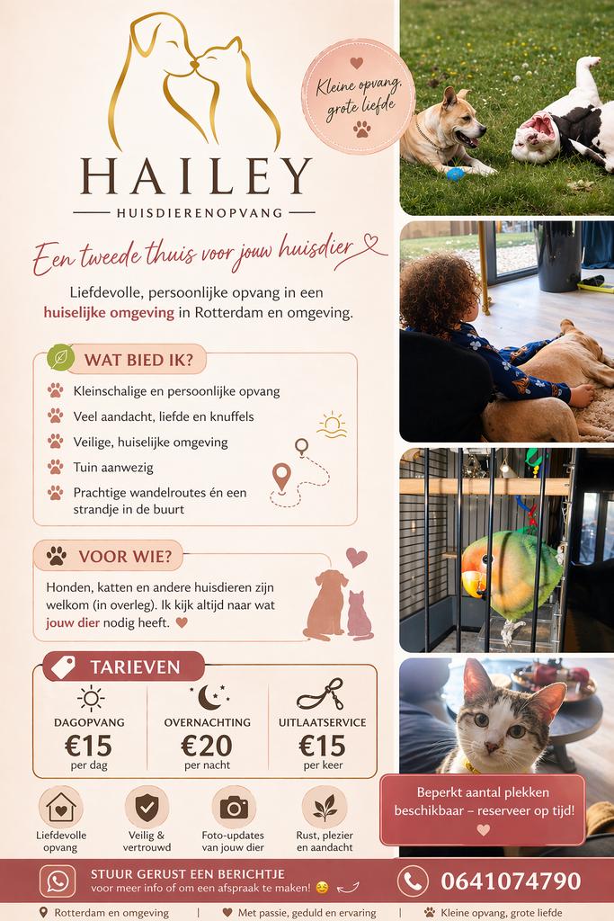 Huisdieren oppas opvang hondenoppas