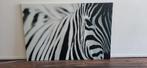 IKEA PJÄTTERYD canvas doek zebra 78x118 cm, Ophalen, Nieuw, Print, 100 tot 125 cm