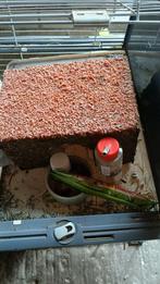 Cavia spullen, Dieren en Toebehoren, Kooi, 110 cm of meer, Cavia, Ophalen