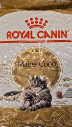 Royal canin maine coon voer 10kg, Ophalen, Kat