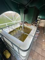 Quarantainen bakken 1000 liter, Ophalen, Filter, Zo goed als nieuw, Inbouw