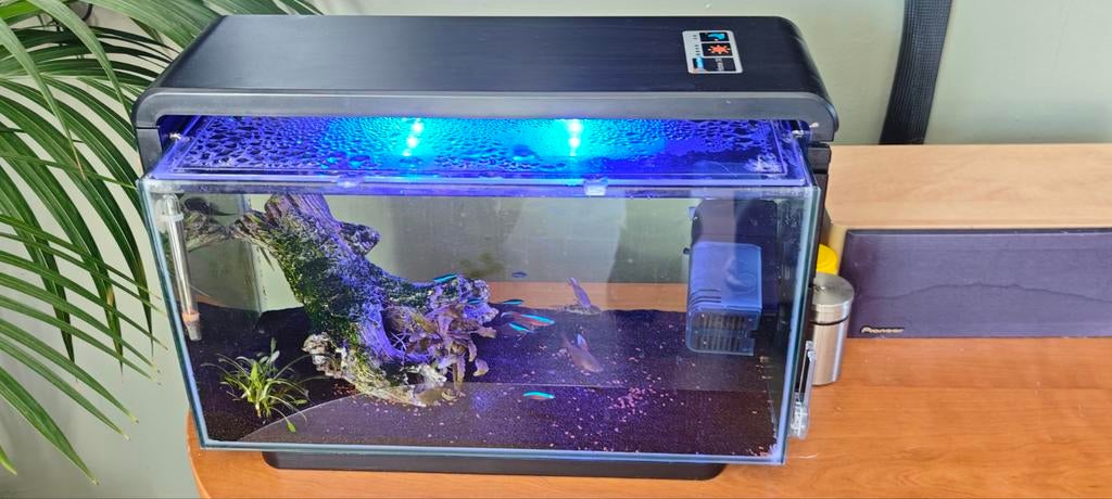 Nano aquarium, Dieren en Toebehoren, Ophalen of Verzenden, Gevuld zoetwateraquarium