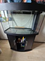 Aquarium, Dieren en Toebehoren, Ophalen, Gebruikt, Leeg aquarium