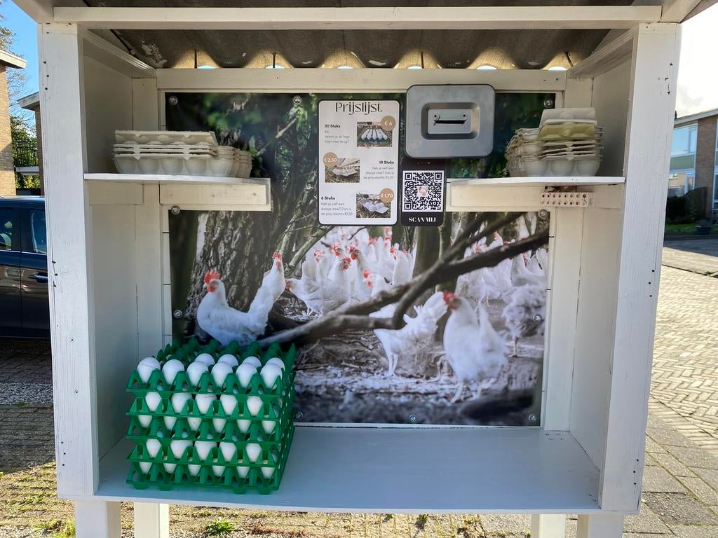 Heerlijke Vrije Uitloop Eieren in de Westereen