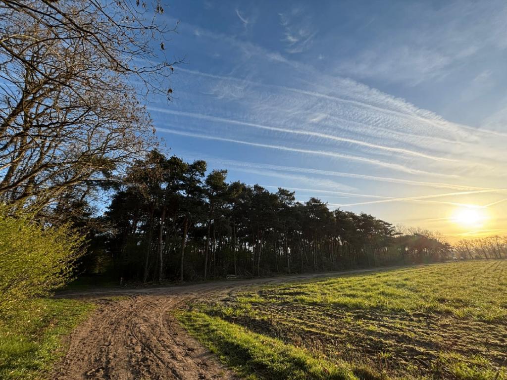 Bosperceel te Koop - Borkel & Schaft, Borkel, Verkoop zonder makelaar, 1500 m² of meer