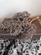 Oude kist geldkist/ waarde papieren ook leuk om te decoreren, Ophalen of Verzenden