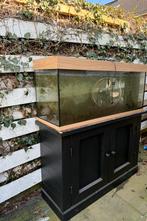 Juwel aquarium met eiken houten kast, Dieren en Toebehoren, Vissen | Aquaria en Toebehoren, Ophalen, Gebruikt, Leeg aquarium
