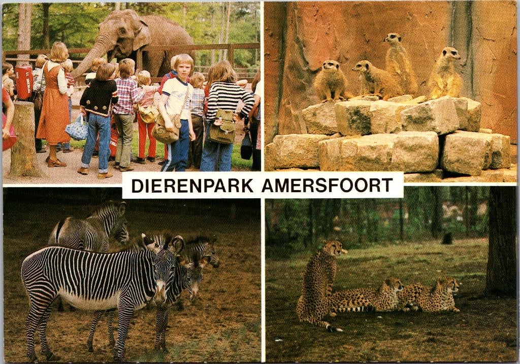 Dierenpark Amersfoort, Verzamelen, Verzenden, 1960 tot 1980, Ongelopen, Utrecht