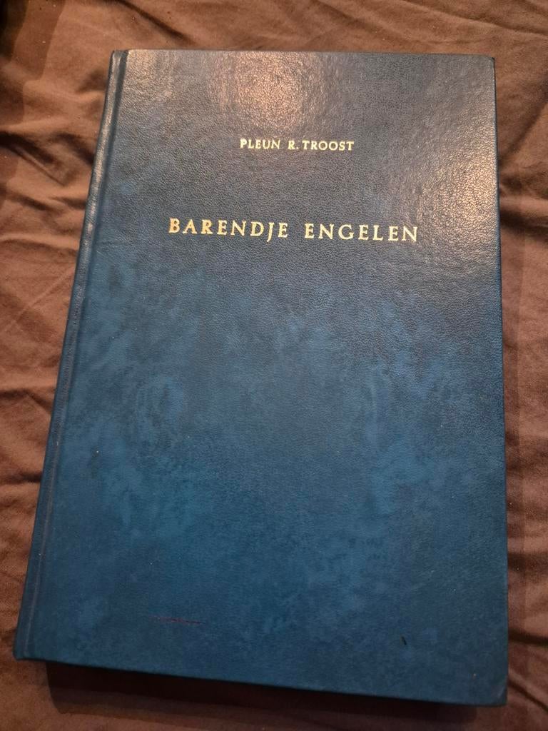Barendje Engelen - Pleun R. Troost (Hardcover), Boeken, Ophalen of Verzenden, Gelezen, Pleun R. Troost, Nederland