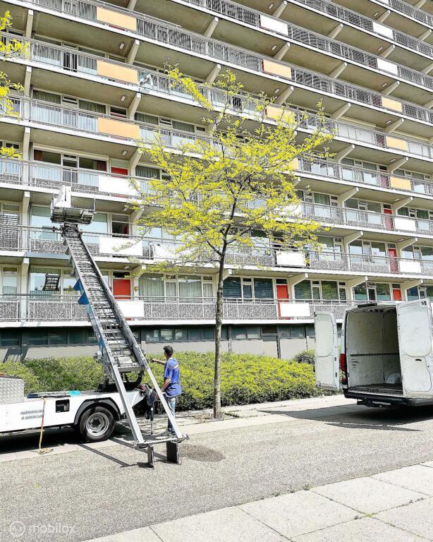 Snelste Verhuisbedrijf van Rotterdam en omstreken !!!, Diensten en Vakmensen, Verhuizers en Opslag