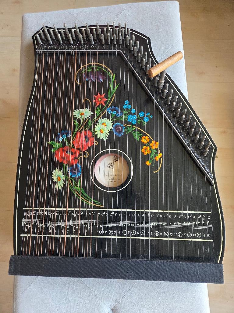 Swarmandal weg voor 150 Euro gestemd raag Bhairav, Muziek en Instrumenten, Snaarinstrumenten | Overige, Ophalen of Verzenden, Gebruikt