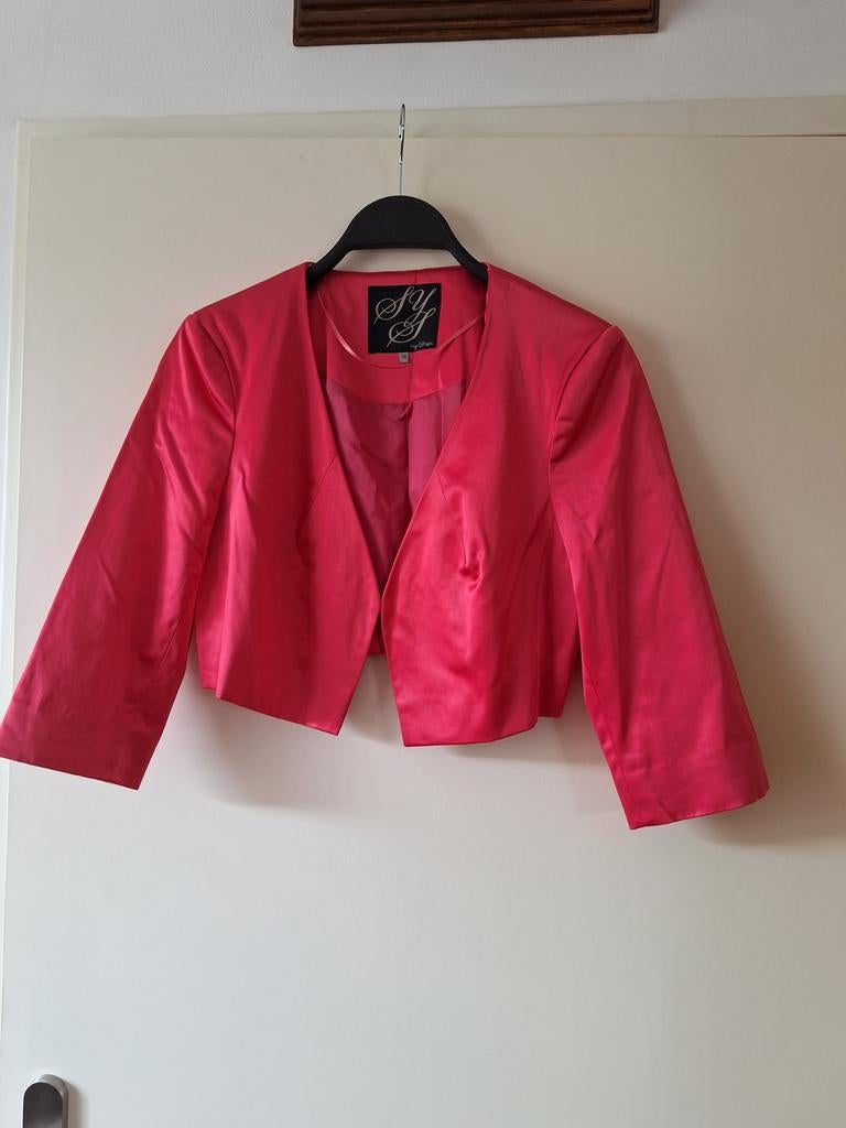 Dames jasje kort steps maat 36, Kleding | Dames, Ophalen of Verzenden, Zo goed als nieuw, Maat 36 (S)